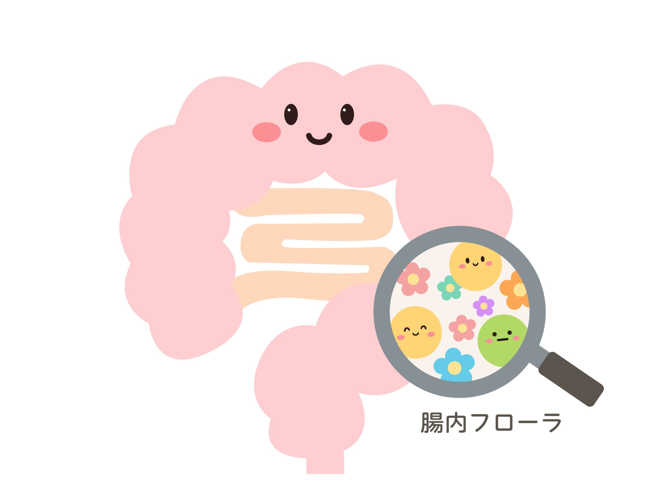 腸内フローラと体重管理：痩せる腸内細菌の最新研究